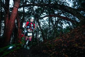 BIB: 
                            <button type="button" onclick="openModal(26342610)" class="btn btn-primary btn-sm float-right btn-popup" data-toggle="modal" data-target=".modal-high-quality">
                        <i class="fas fa-shopping-cart"></i> Add to Cart
                    </button>
                                            <button type="button" onclick="isThisMe(26342610, true)" class="btn btn-success btn-sm float-right btn-popup btn-isme hidden" data-toggle="tooltip" data-placement="bottom" title="นี่คือรูปของคุณใช่ไหม คลิกที่นี่เพื่อเอาเข้าอัลบั้ม">
                        <i class="fas fa-plus"></i> Add to album
                    </button>
                    <button type="button" onclick="isThisMe(26342610, false)" class="btn btn-warning btn-sm float-right btn-popup btn-isnotme hidden">
                        <i class="fas fa-ban"></i> Remove from album
                    </button>